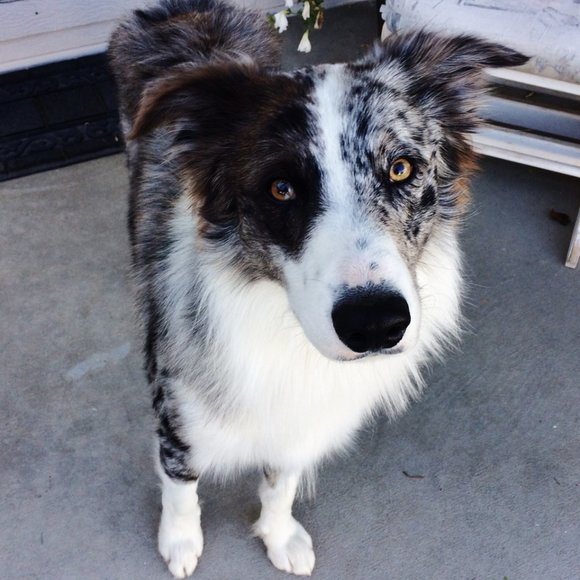 🌟Meet your Posh Ambassador, Diane - Picture 5 of 15